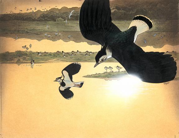 Frank P&eacute; - Illustration originale pour un calendrier