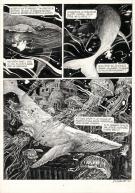 Daria Schmitt - La T&ecirc;te de mort venue de Su&egrave;de, Planche orig