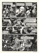 Daria Schmitt - Ornithomaniacs, Planche originale n&deg;22